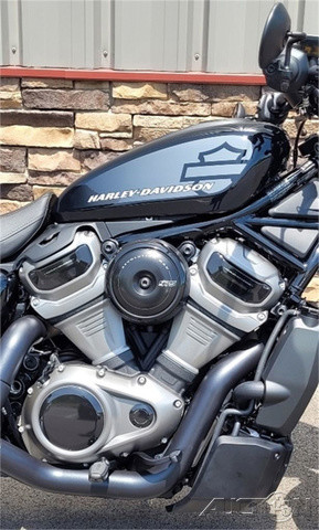 Nightster