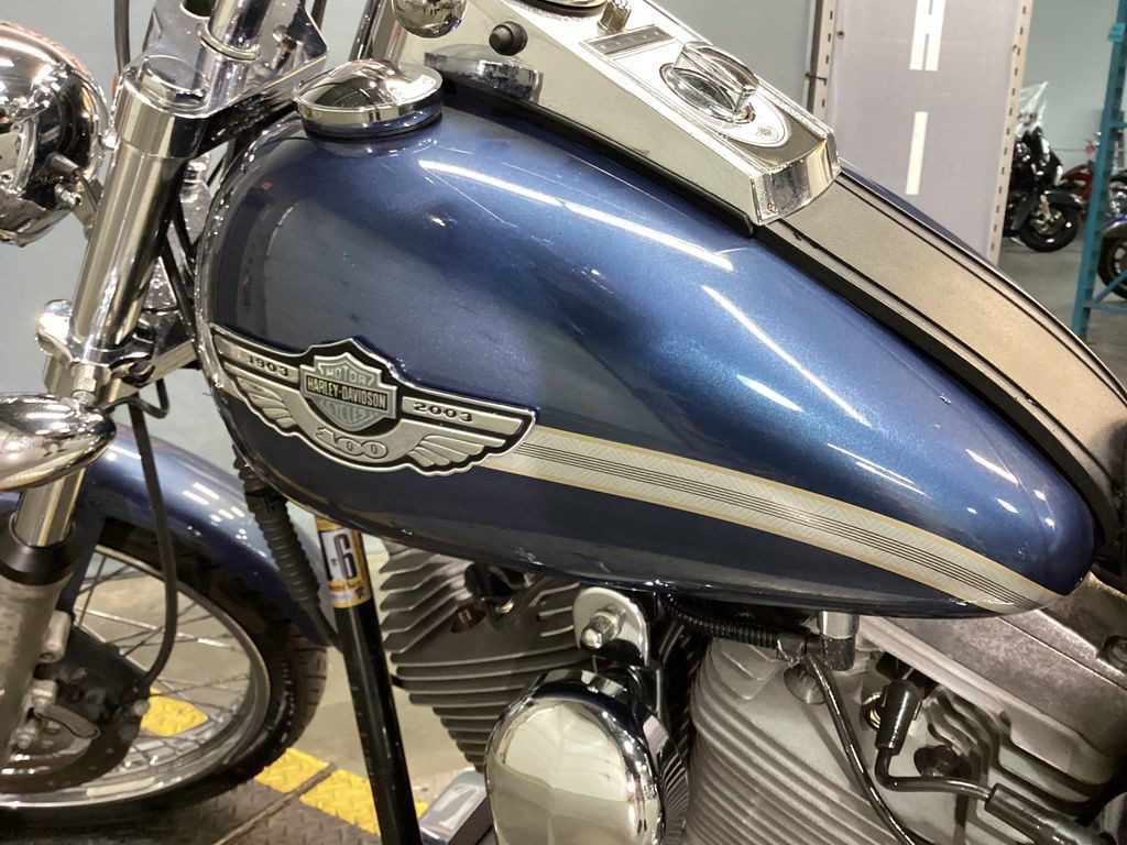 Softail® Standard