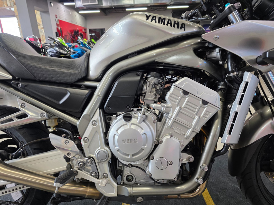 FZ1