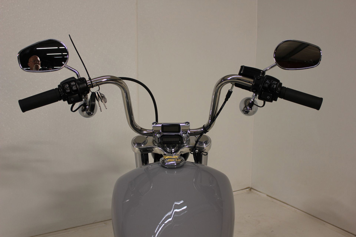 Softail® Standard