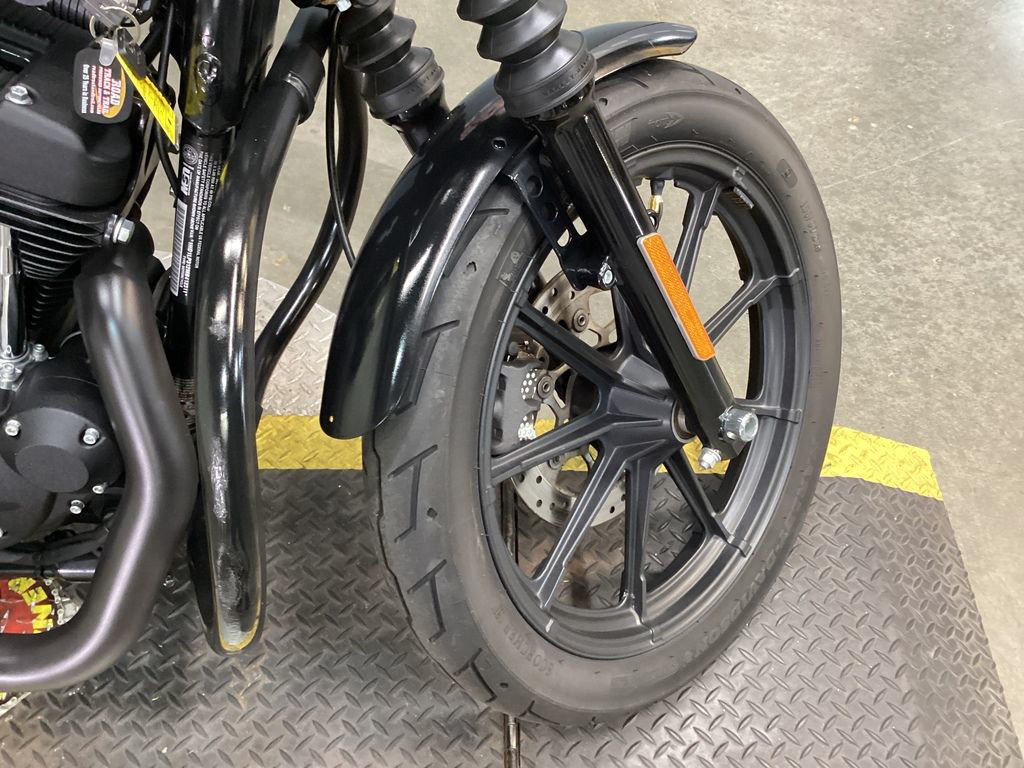 Iron 1200®
