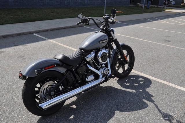 Street Bob®