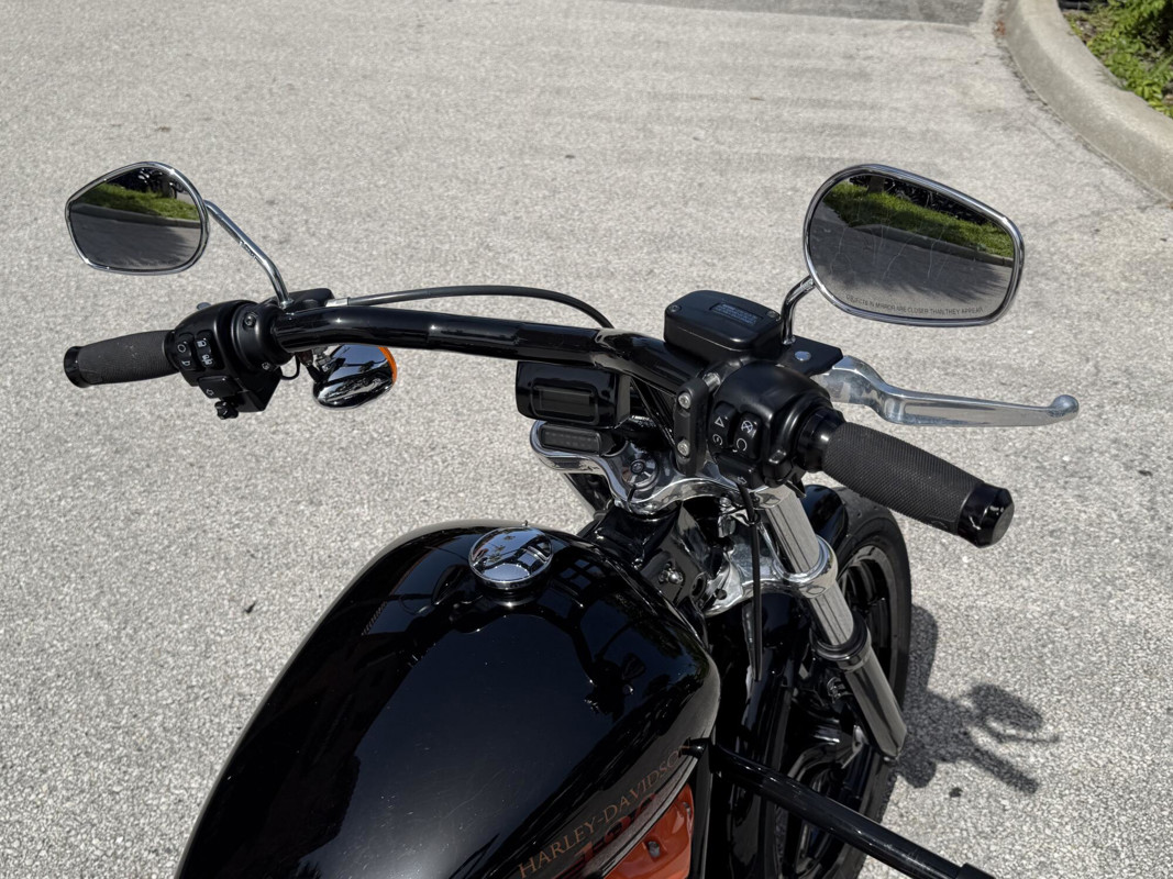 Softail® Standard