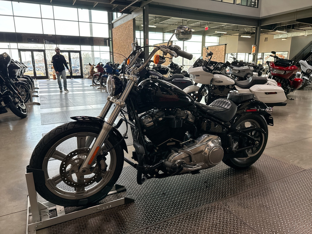 Softail® Standard