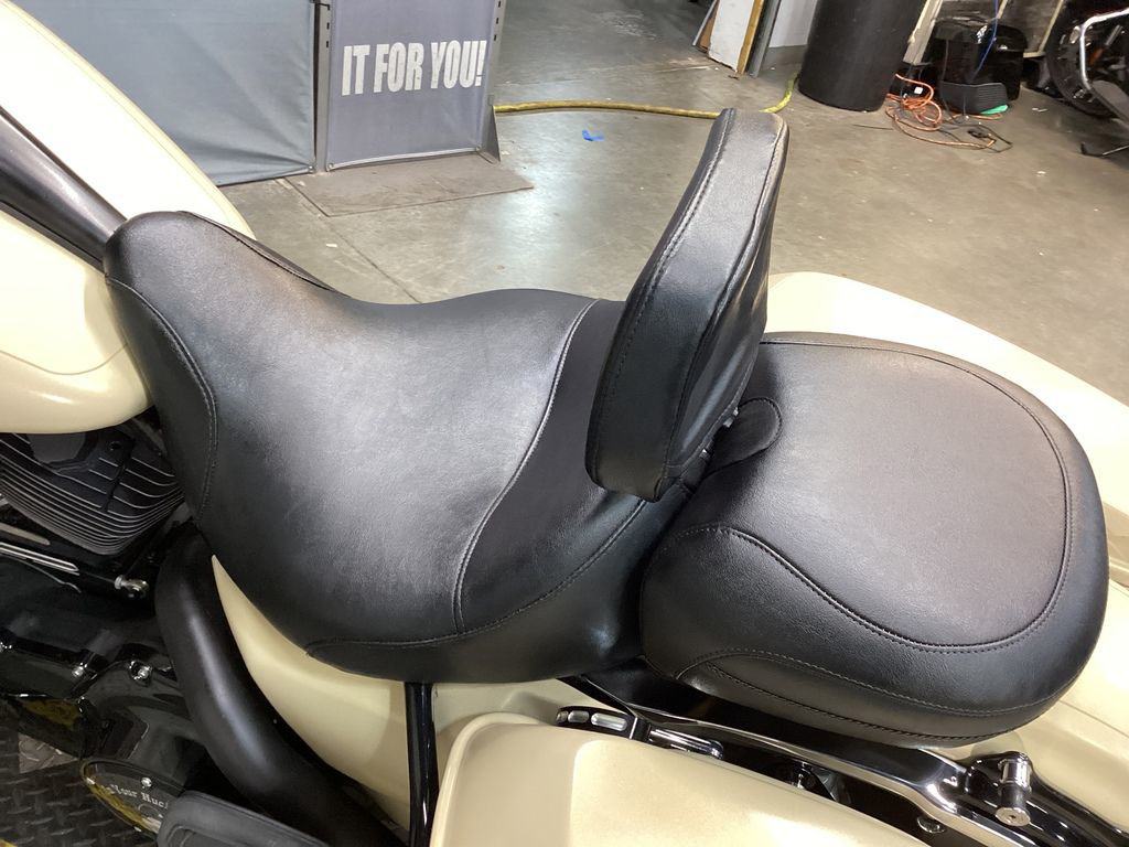 Street Glide® Special