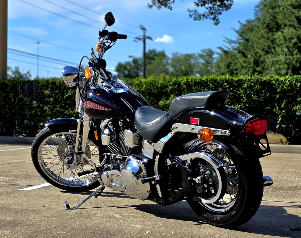 Springer® Softail®