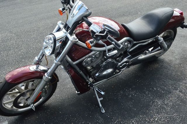 V-Rod®