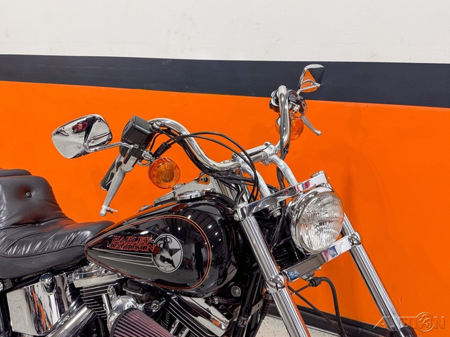Softail® Custom