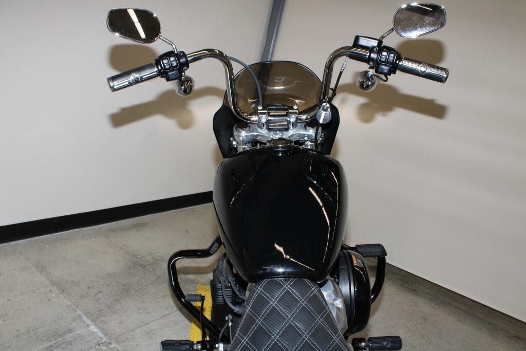Softail® Standard