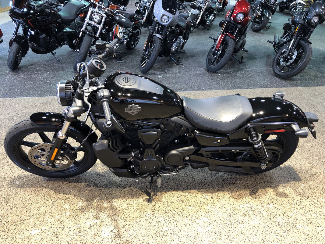 Nightster