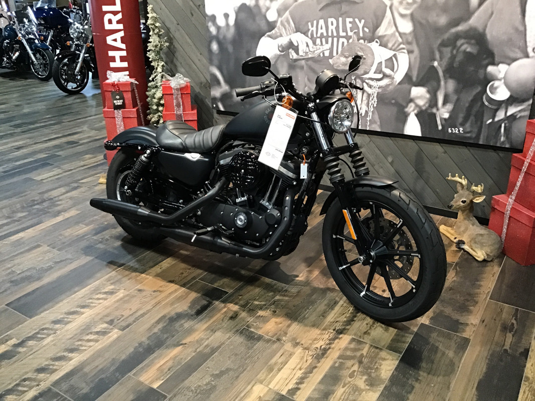 Iron 883®