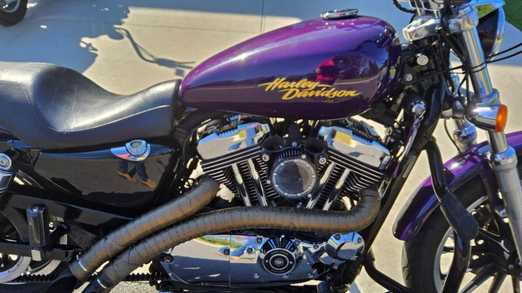 Sportster® 1200 Low