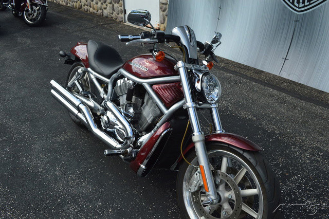 V-Rod®