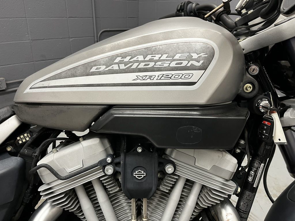 Sportster® XR1200®