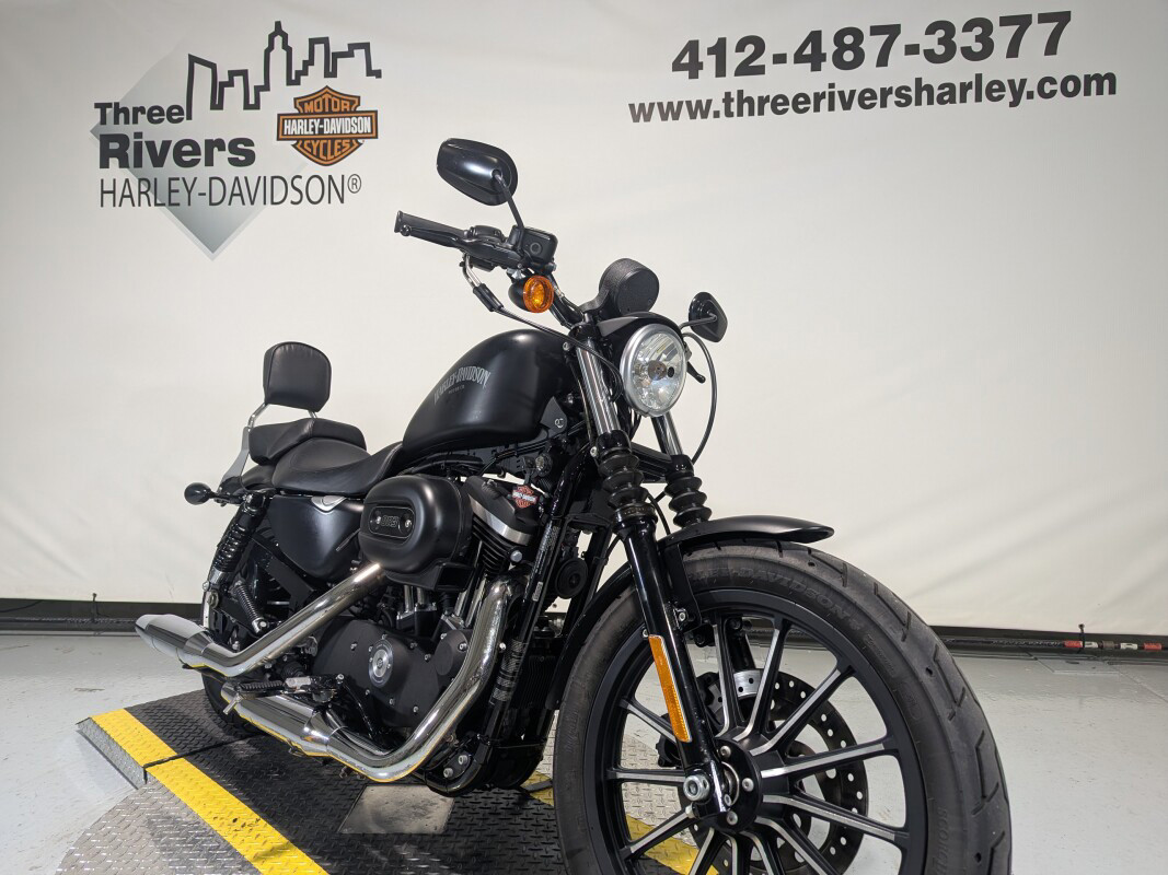 Sportster® Iron 883®
