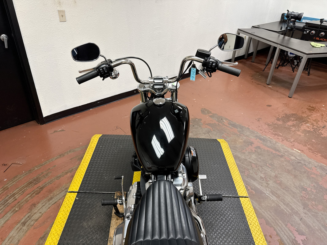 Softail® Standard
