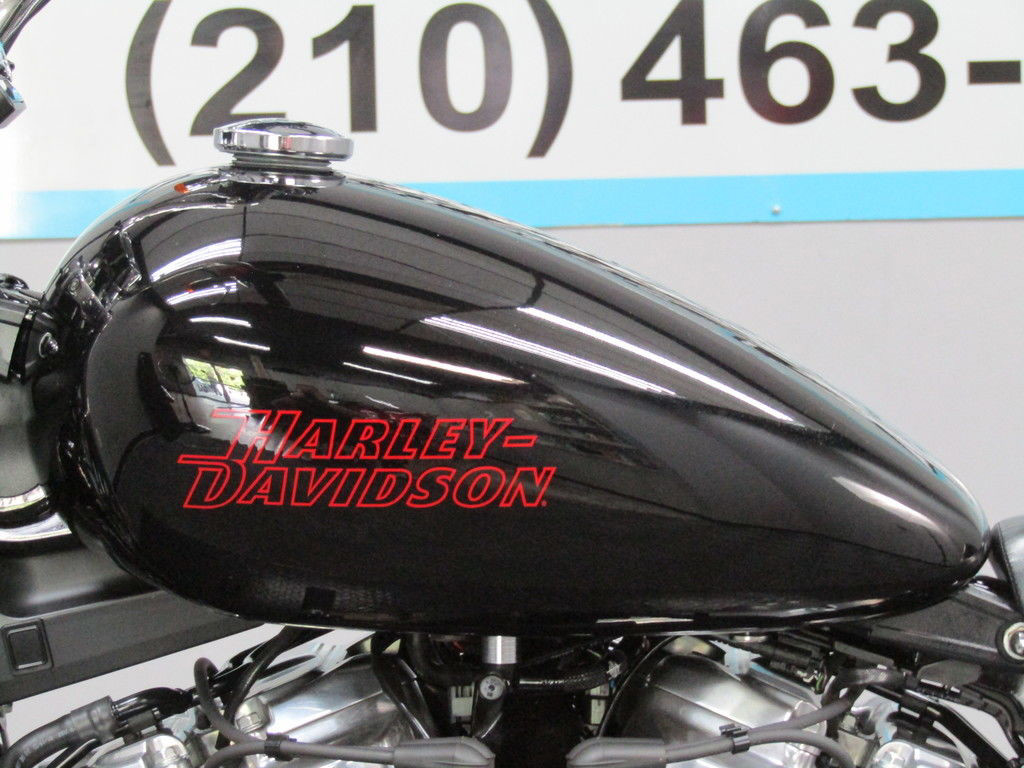 Softail® Standard