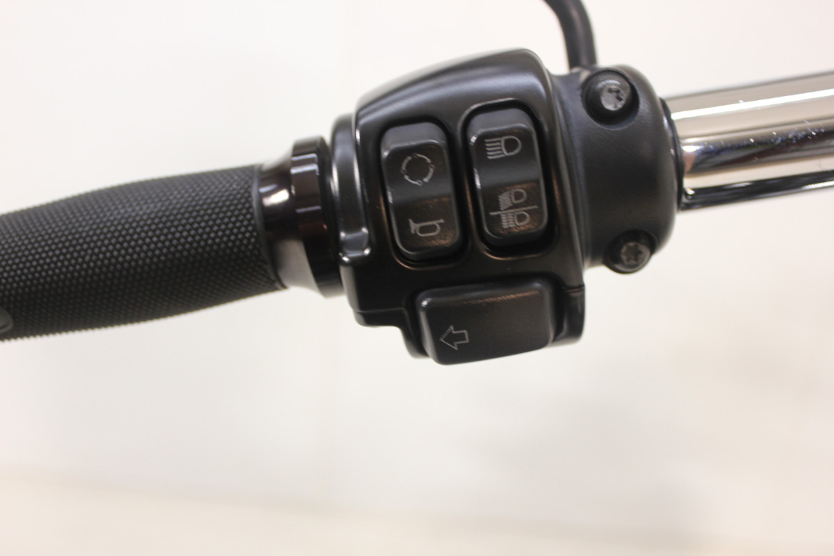 Sportster® Forty-Eight® Special