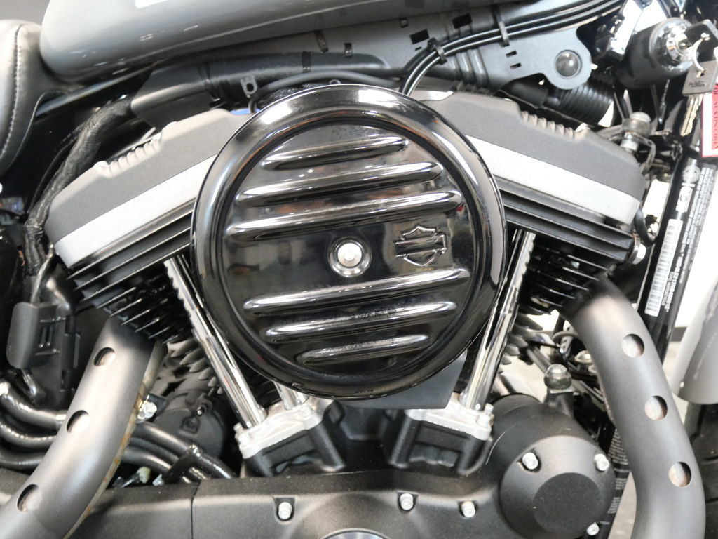 Iron 883®