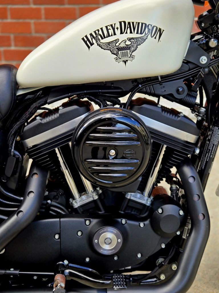 Sportster® Iron 883®