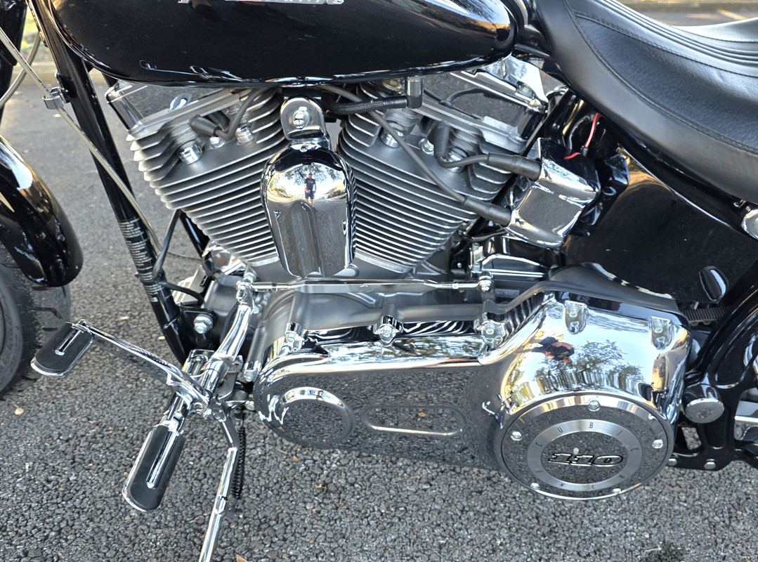 Screamin' Eagle® Softail® Springer®