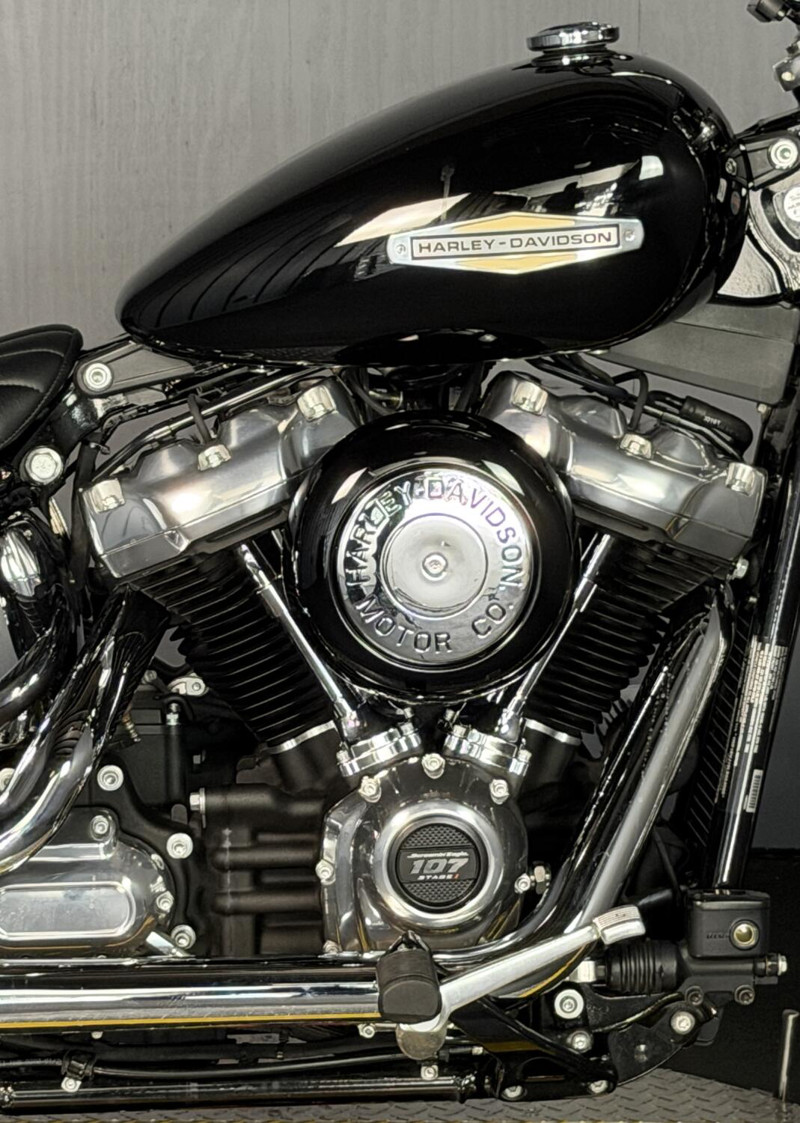 Softail® Standard