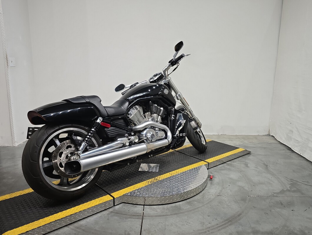 V-Rod® Muscle