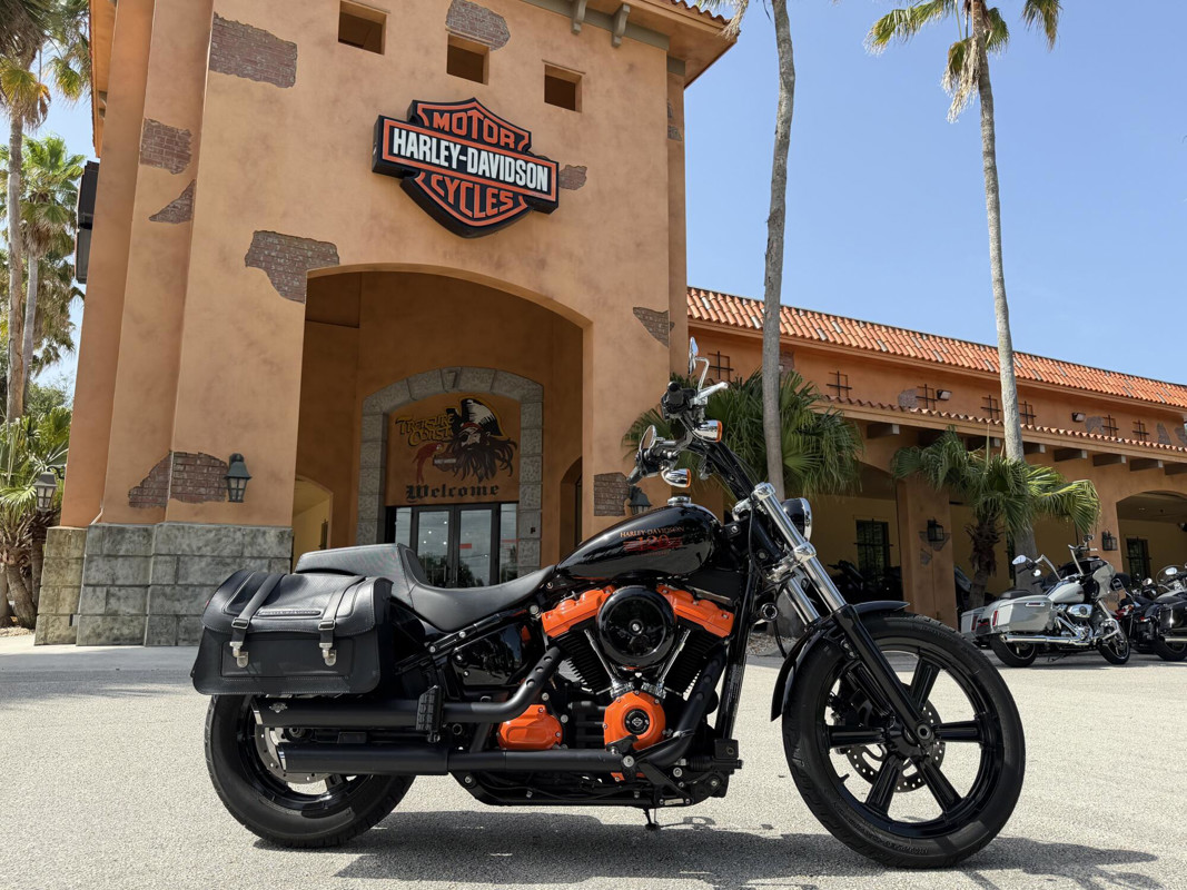 Softail® Standard