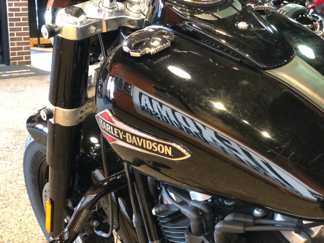 Softail® Slim®