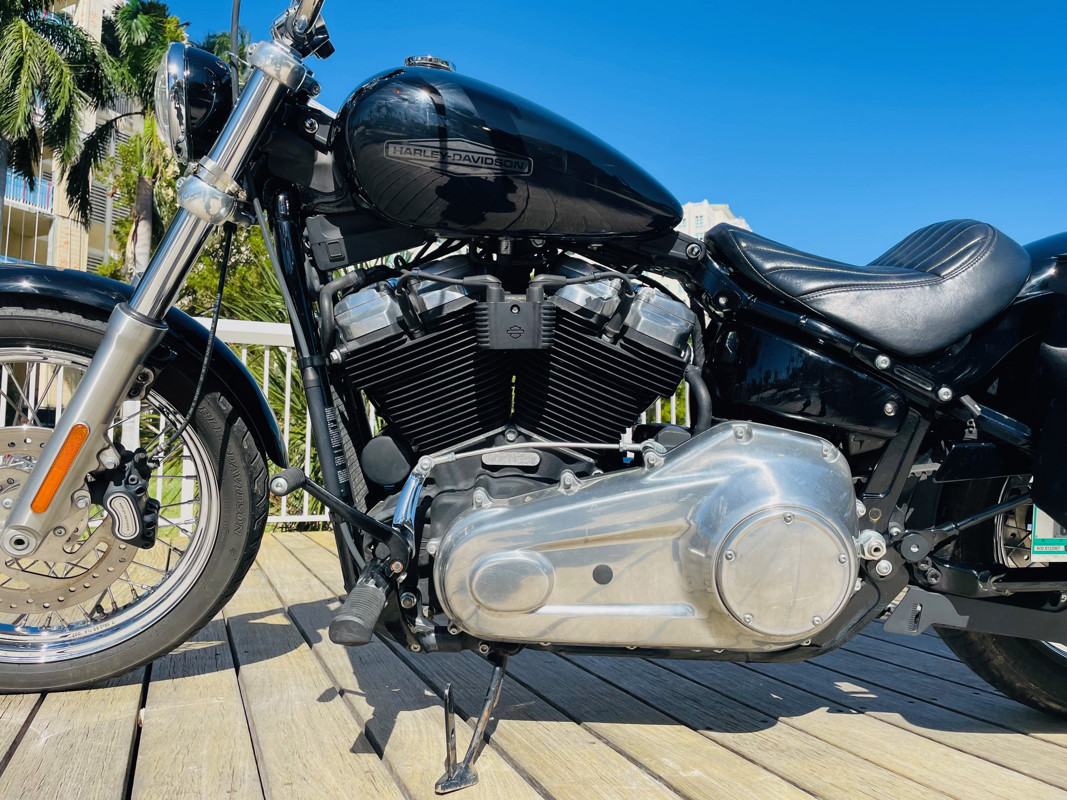 Softail® Standard
