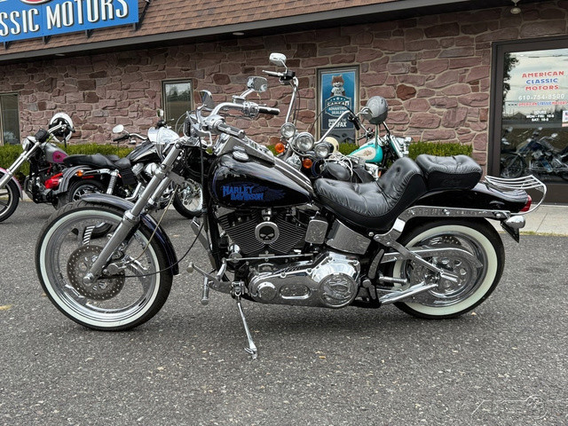 Softail® Custom