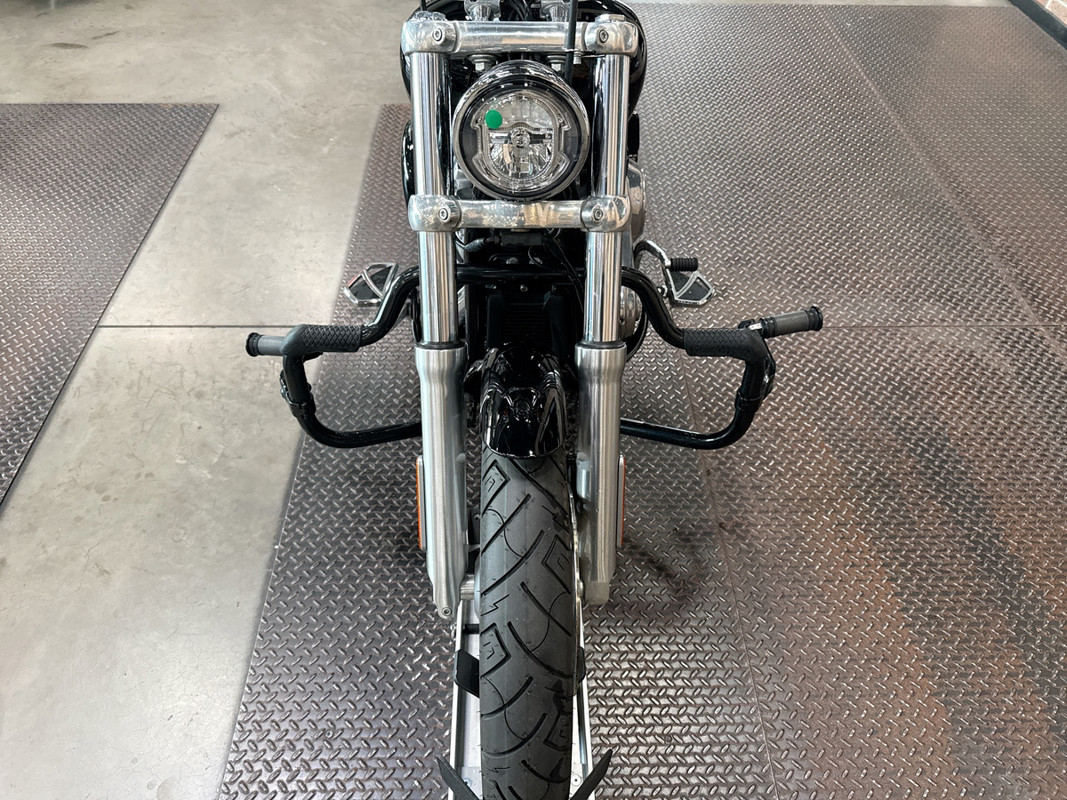 Softail® Standard
