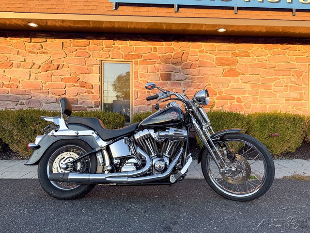 Springer® Softail®