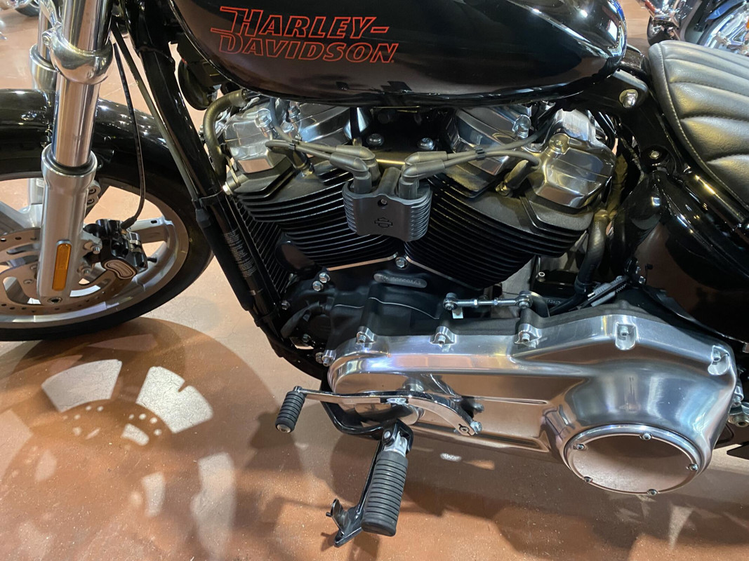 Softail® Standard