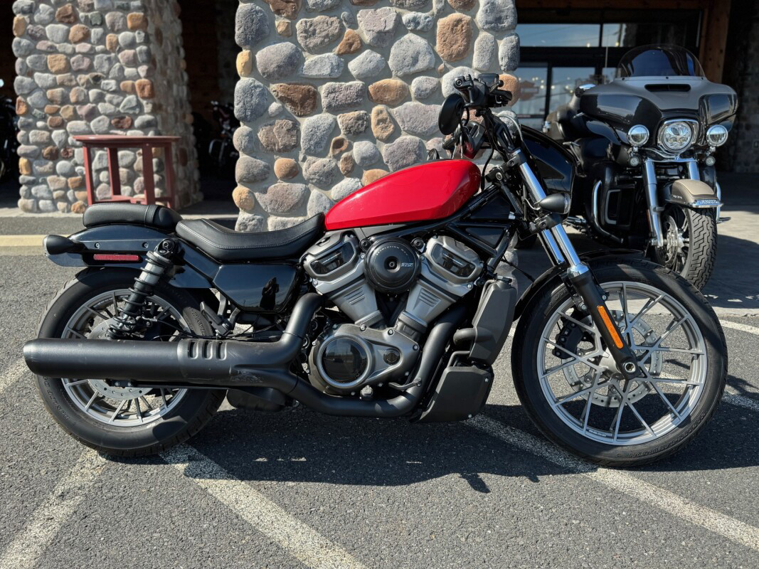 Nightster Special