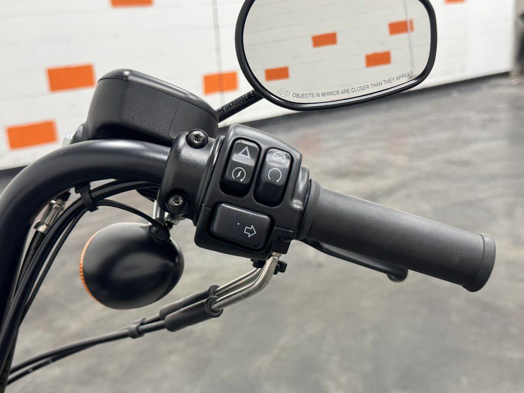 Iron 1200®
