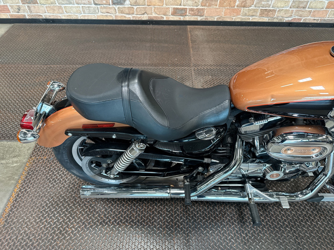 Sportster® 1200 Low Anniversary