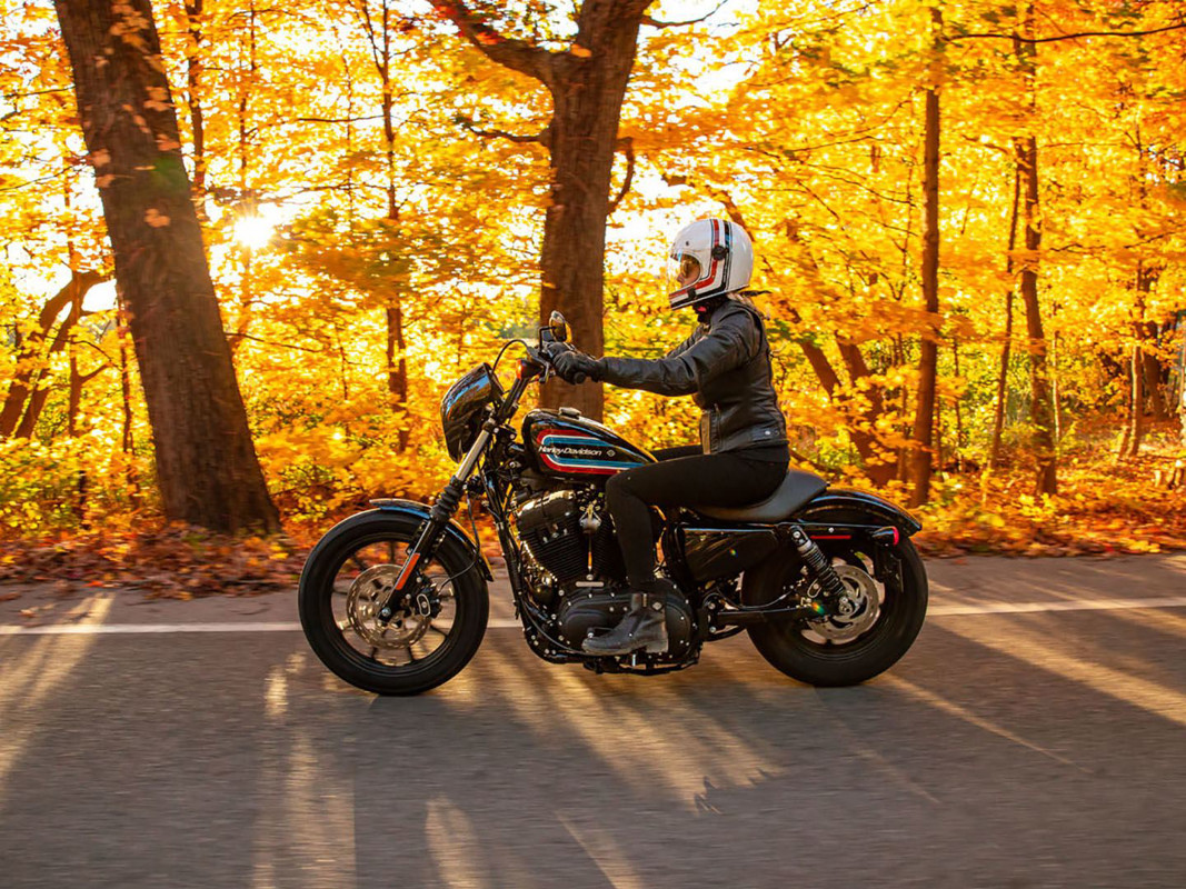 Iron 1200®