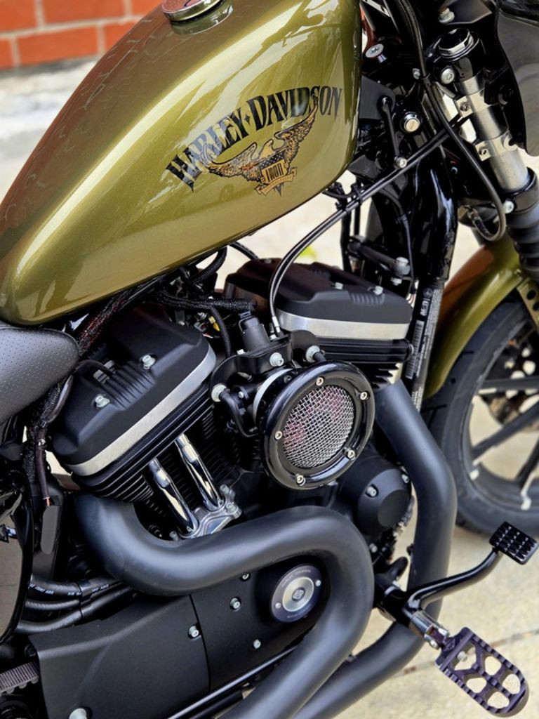 Sportster® Iron 883®