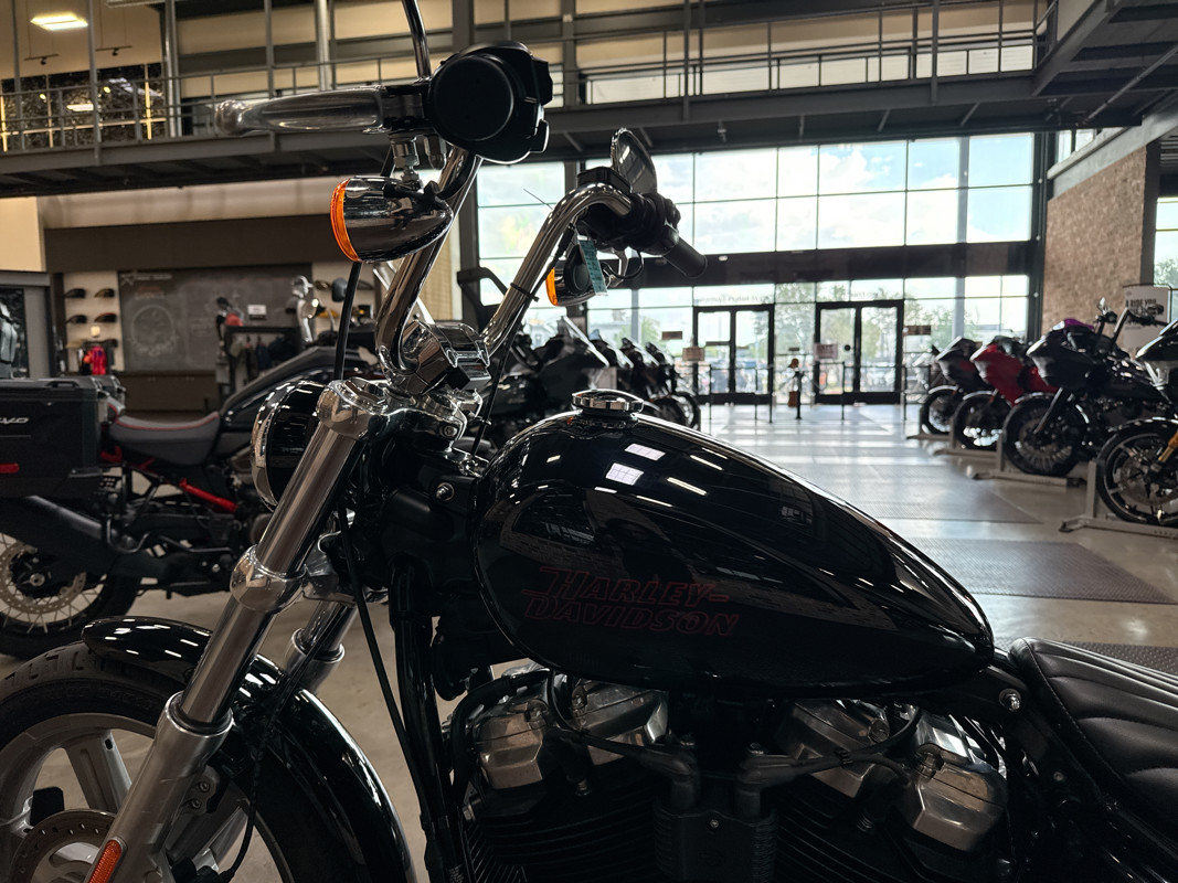 Softail® Standard