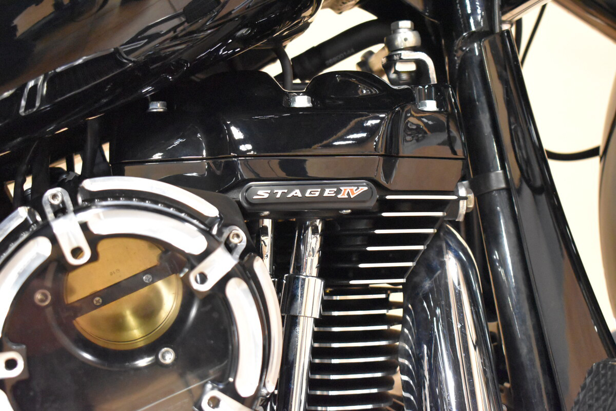 Street Glide® Special