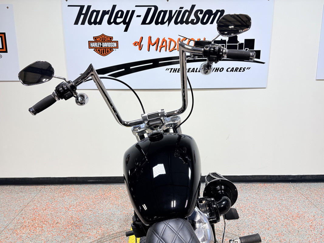 Softail® Standard