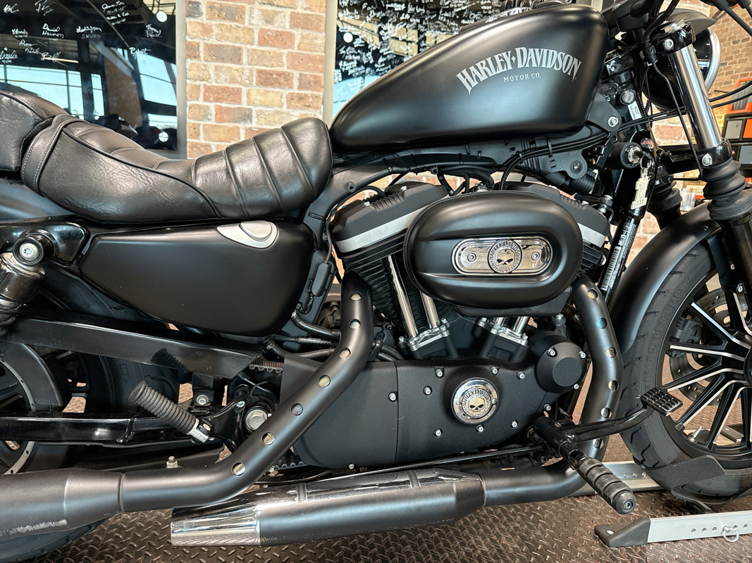 Sportster® Iron 883®