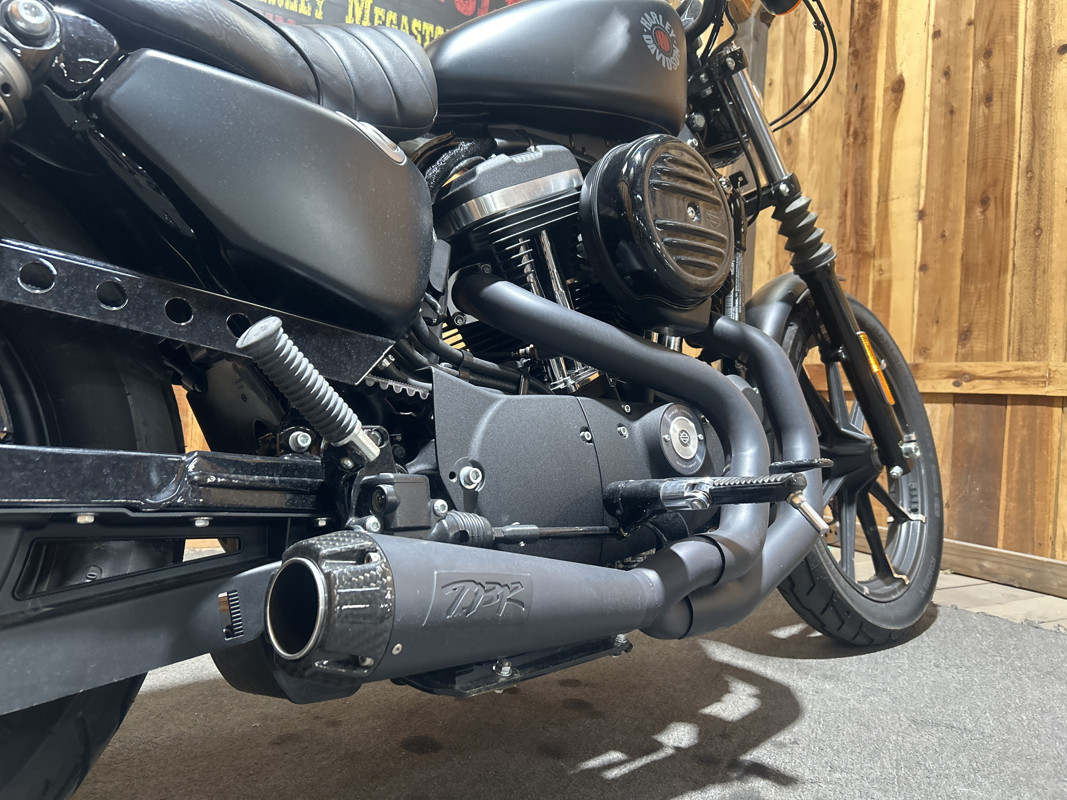 Iron 883®