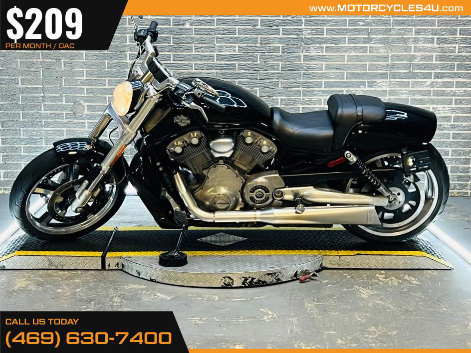V-Rod Muscle®