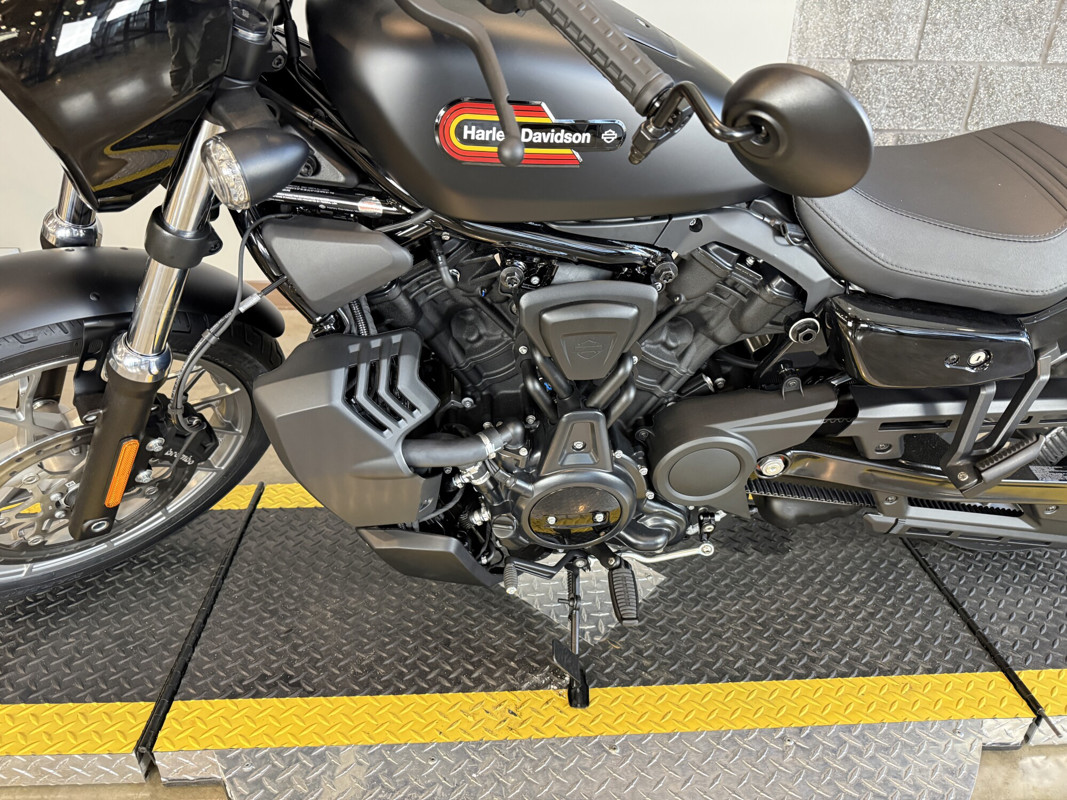 Nightster Special