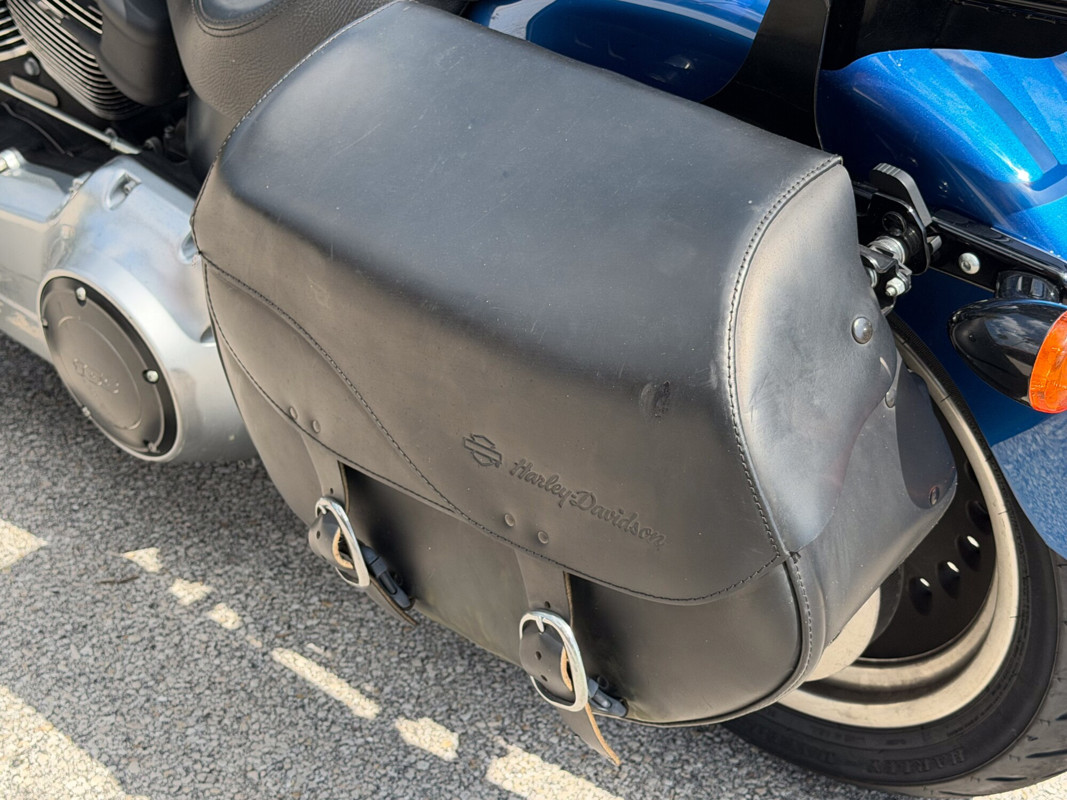 Softail® Fat Boy® Lo