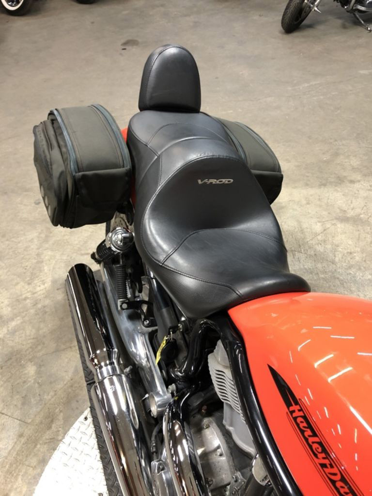 V-Rod® - Black Frame