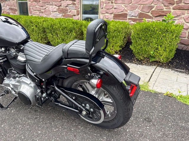 Softail® Standard