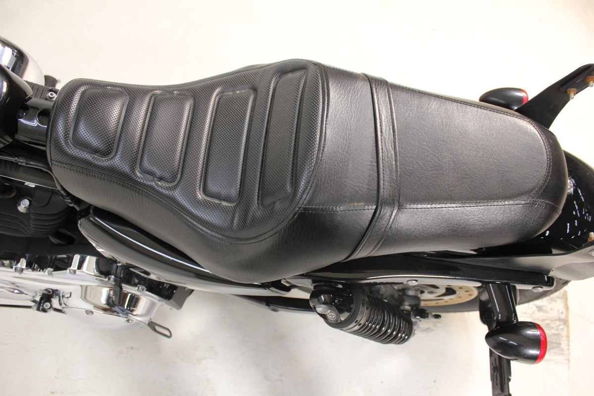 Sportster® Forty-Eight® Special